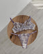 LİLA BRA SET